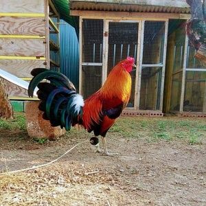 Meet your Posher, Nathaniel